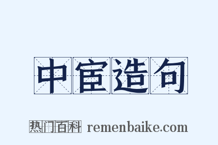 中宦造句是什么意思的图片